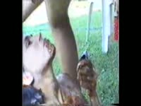 Slut Opens Her Mouth Wide For Hot, Loose Shit
